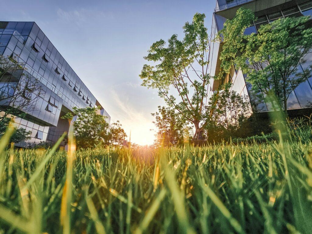 Okkels Energi og Projekt for en grønnere fremtid.